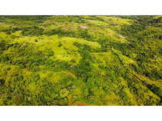 Agricultural Land for Sale in Las Minas - 0 bedrooms