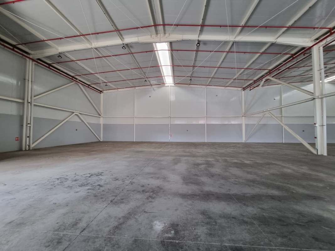 Warehouse with high ceiling, skylights, and red pipe fire system at Panapark Free Zone Panama