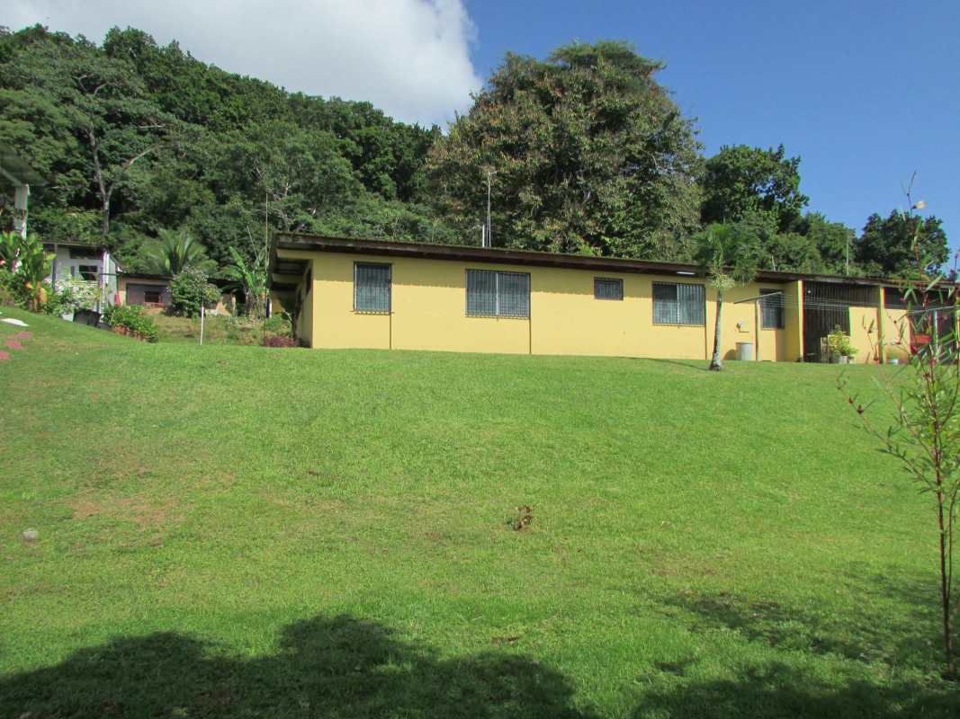 Bright living room with tile floor, windows and ceiling fan Pedro Miguel house Panama