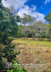 Land / Lot for Sale in Palmira - 0 bedrooms