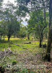 Spacious land ideal for farming or development Palmira Boquete Panama