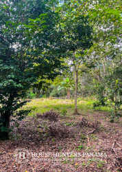Large clearable land parcel with mountain and valley views in Boquete Panama