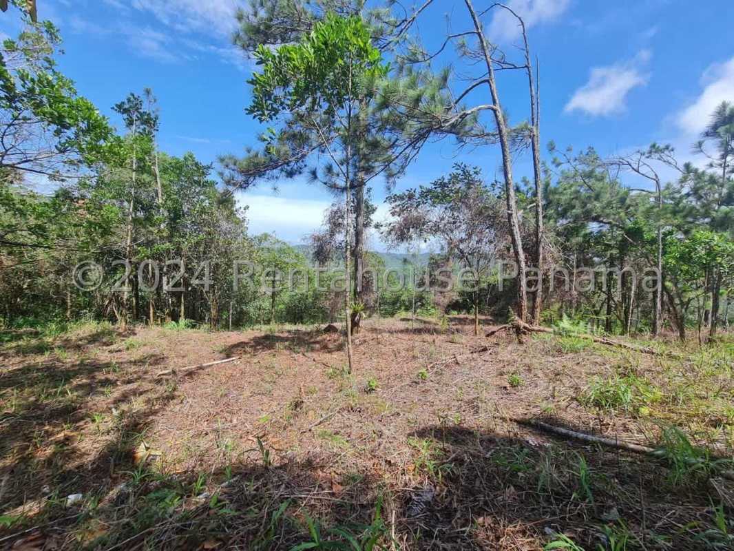 Large mountain side lot surrounded by greenery in private community