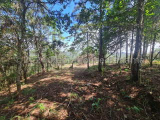 Land for Sale in Pedregal - 0 bedrooms