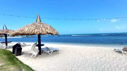 Infinity pool with ocean view and tropical landscaping at Playa Escondida villa