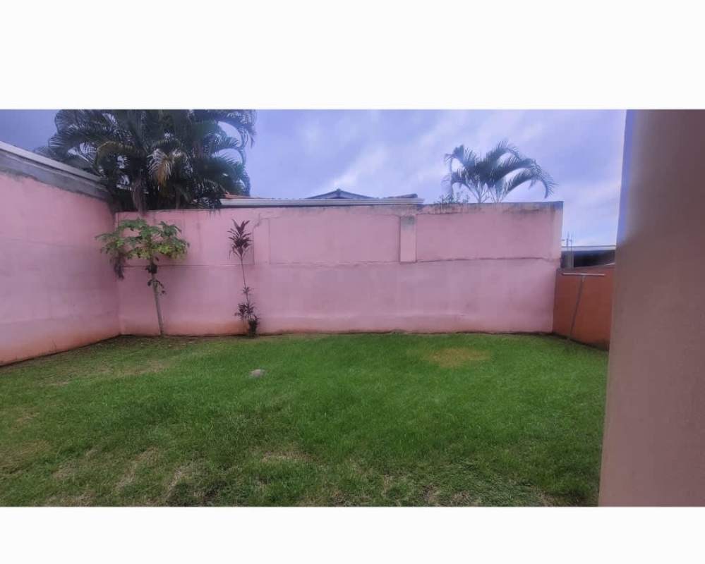 Enclosed backyard with green lawn tropical plants pink privacy wall Las Quintas San Antonio Panama