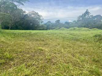 Open grassy plot of land with surrounding trees and a partly cloudy sky in Potrerillos Arriba