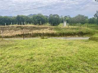 Open grassy plot with paved road, fence posts, utility pole, and distant trees in Potrerillos Arriba Chiriquí