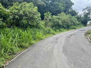 Land for Sale in Jaramillo - 0 bedrooms