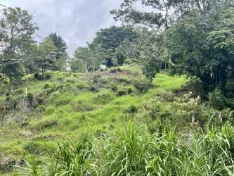 Green hilly terrain with lush vegetation and mature trees on mountain land for sale in Boquete, Panama