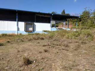 Agricultural Land for Sale in San Lorenzo - 0 bedrooms