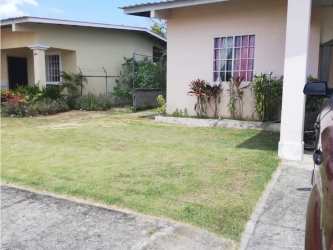 Sprawling backyard lawn with trees house for rent Villas de Zaratí Penonomé