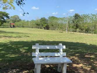 Orchards with mature mango avocado citrus trees on La Chorrera rural estate Panama