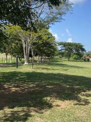 Flowing creek water source at rural development land La Chorrera Panama