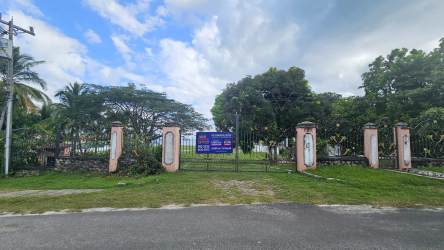 Panoramic Pacific Ocean view with palm trees on beachfront land in Coronado Panama
