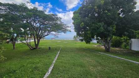 Expansive open lot with palm trees near beach Coronado Panama