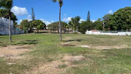 Empty buildable lot with palm trees coastal setting Coronado Panama