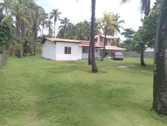 Expansive tropical garden filled with coconut trees next to beachfront villa in Colon Panama