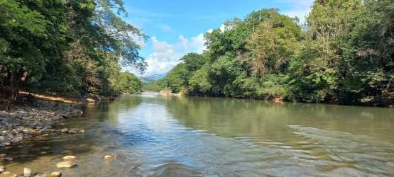 Serene river and lush forest on Panama rural land for sale, ideal for ecotourism