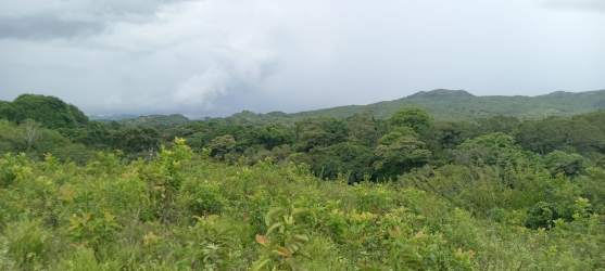 Countryside view with rolling green hills and dense vegetation in Rio Grande Coclé lot