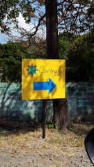 Vacant Land / Lot for Sale in Chame - 0 bedrooms