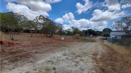 Vacant 800 m² lot with boundary markers and residential surroundings in Coronado