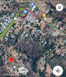 Satellite image of Coronado neighborhood with commercial and residential zones