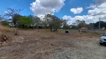 Flat vacant lot with sparse trees near Coronado beach area Panama