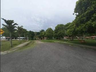Quiet rural street lined with trees near house for sale Penonomé Panama