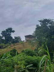 Rural Land with Cabin for Sale in Cirí de Los Sotos - 1 bedroom