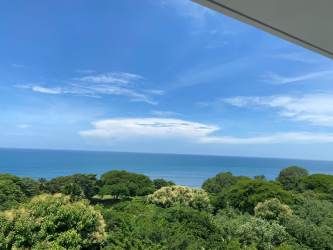 Infinity pool with tropical landscaping in PH Punta Barco Beachfront Panama
