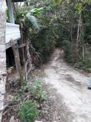 Dirt trail through dense forest vegetation on land parcel for sale in Panama
