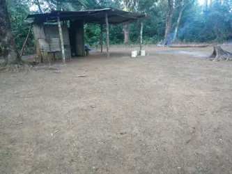 Aerial photo showing farmland, houses, vegetation near San Juan Colón Panama