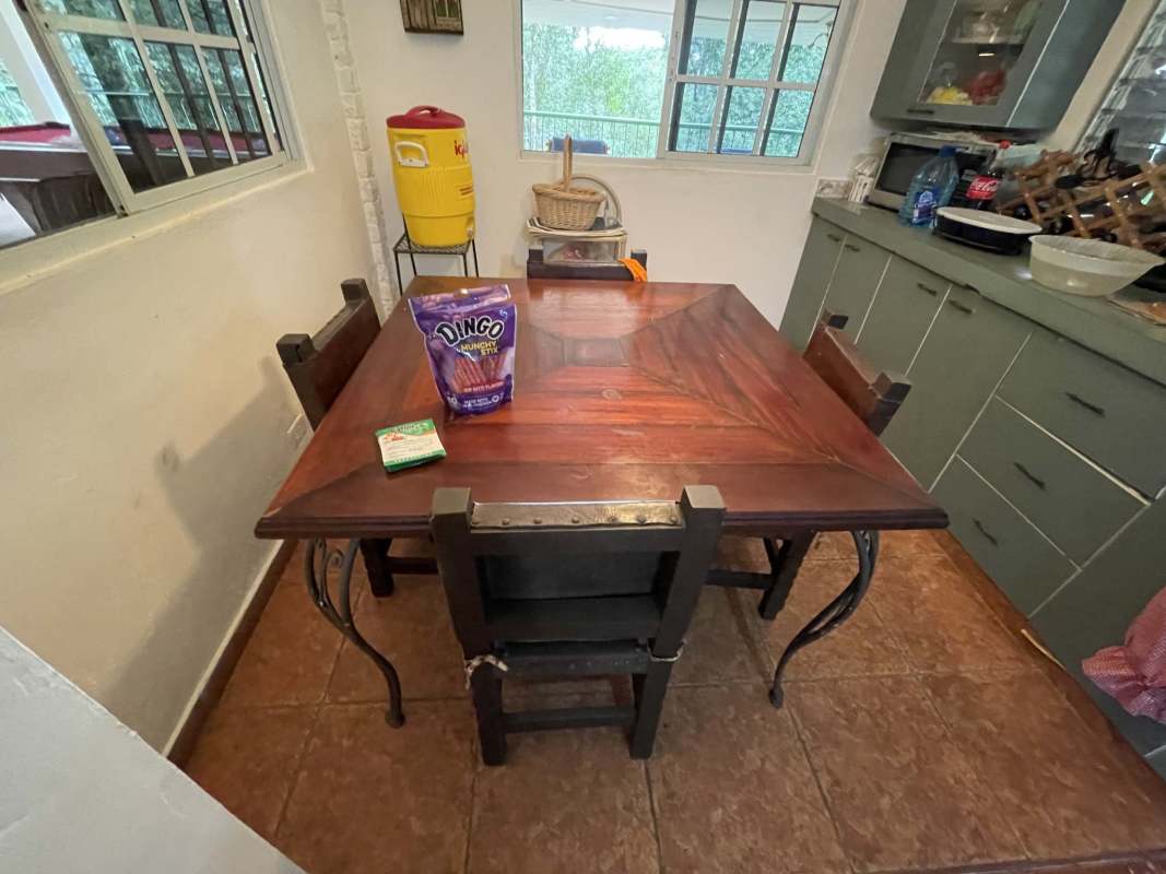 Lush gardens and tropical forest surrounding the mountain home in Cerro Azul