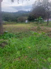 Land for Sale in Tocumen - 0 bedrooms