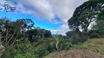 Scenic view of lush countryside forest and mountains in Volcán Chiriquí