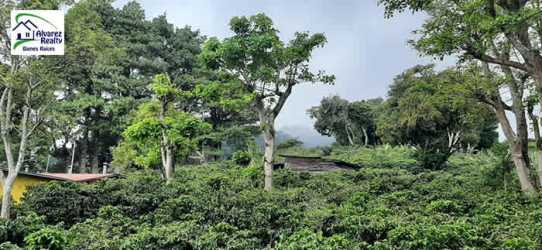 Lush countryside with mountain backdrop land for sale in Volcán Chiriquí