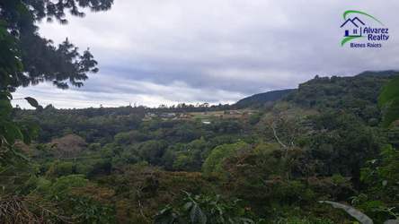 Natural forest and mountain scenery of residential land for sale in Volcán Panama