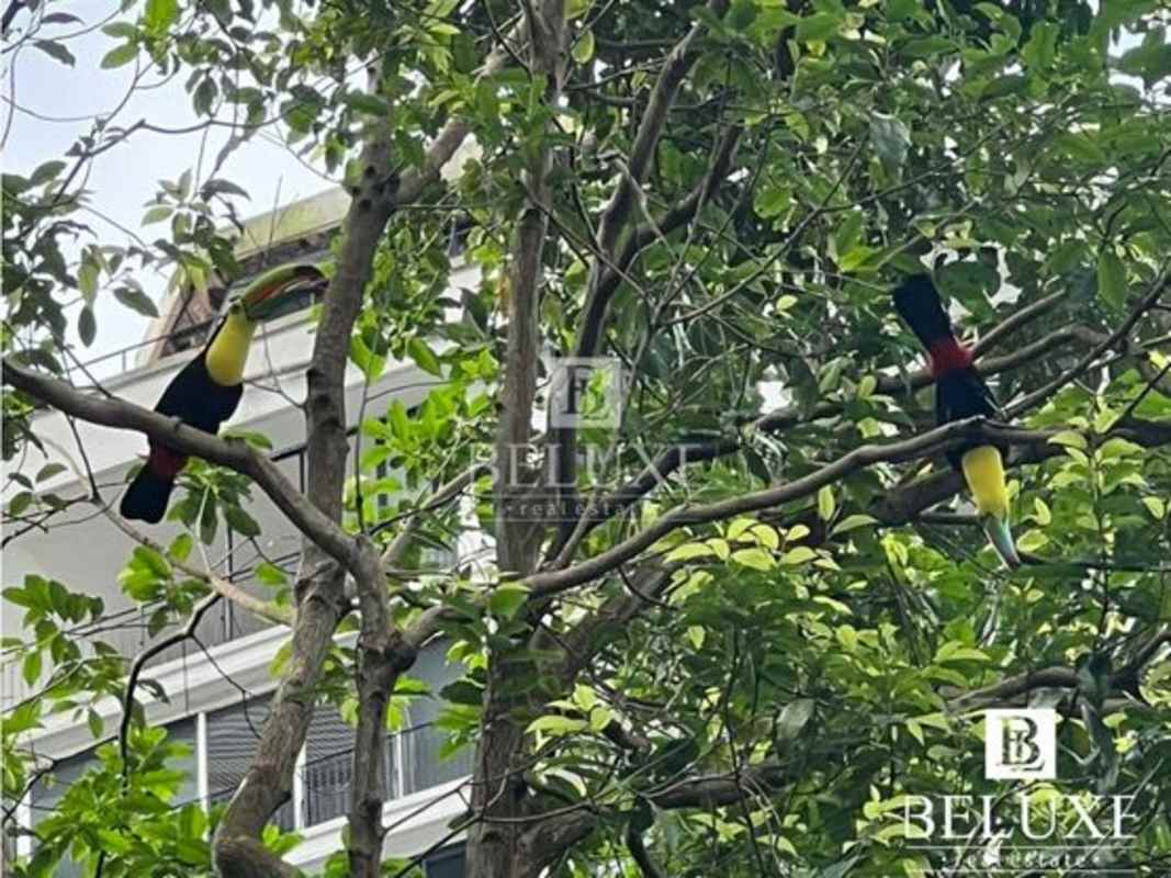 Dining and office area with panoramic windows in apartment Torre La Cresta Bella Vista