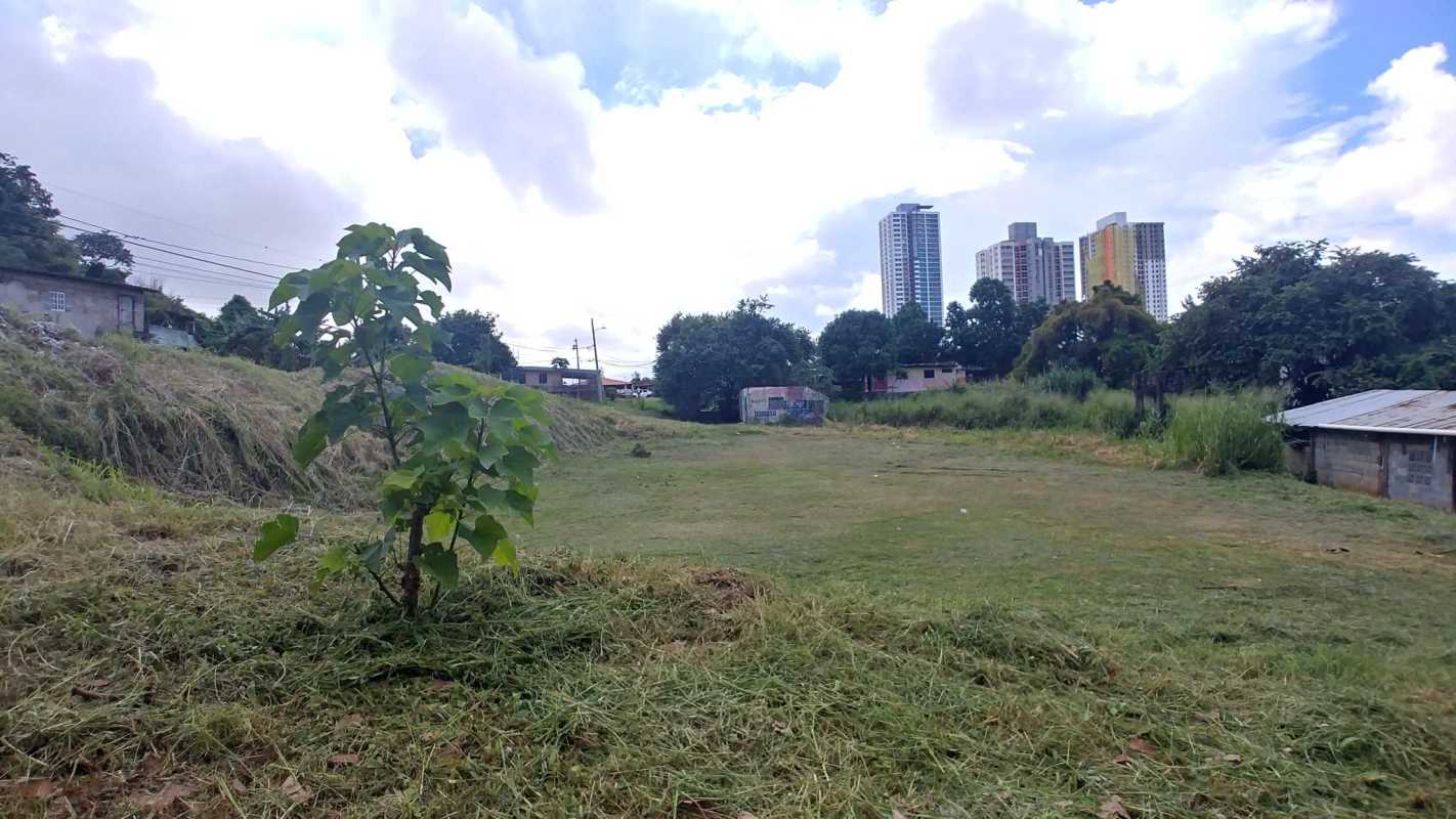 Vacant grassy lot with skyline view ideal for development in Pueblo Nuevo Panama City