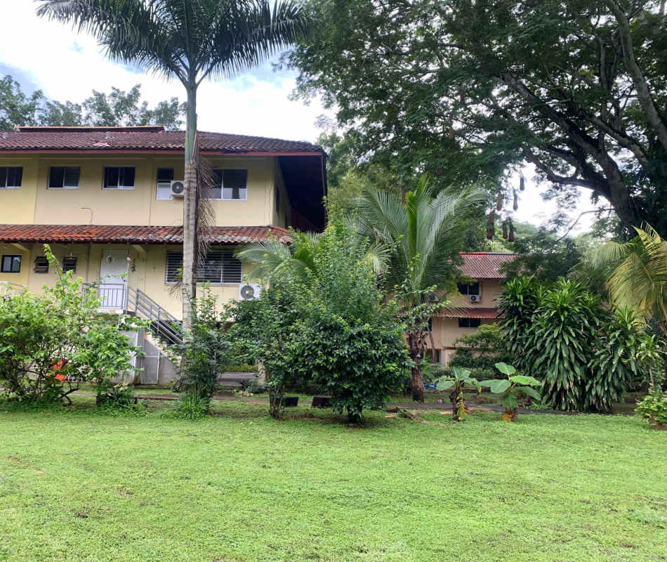 Bright indoor staircase with window natural light ceramic tile steps wood railing Clayton Panama