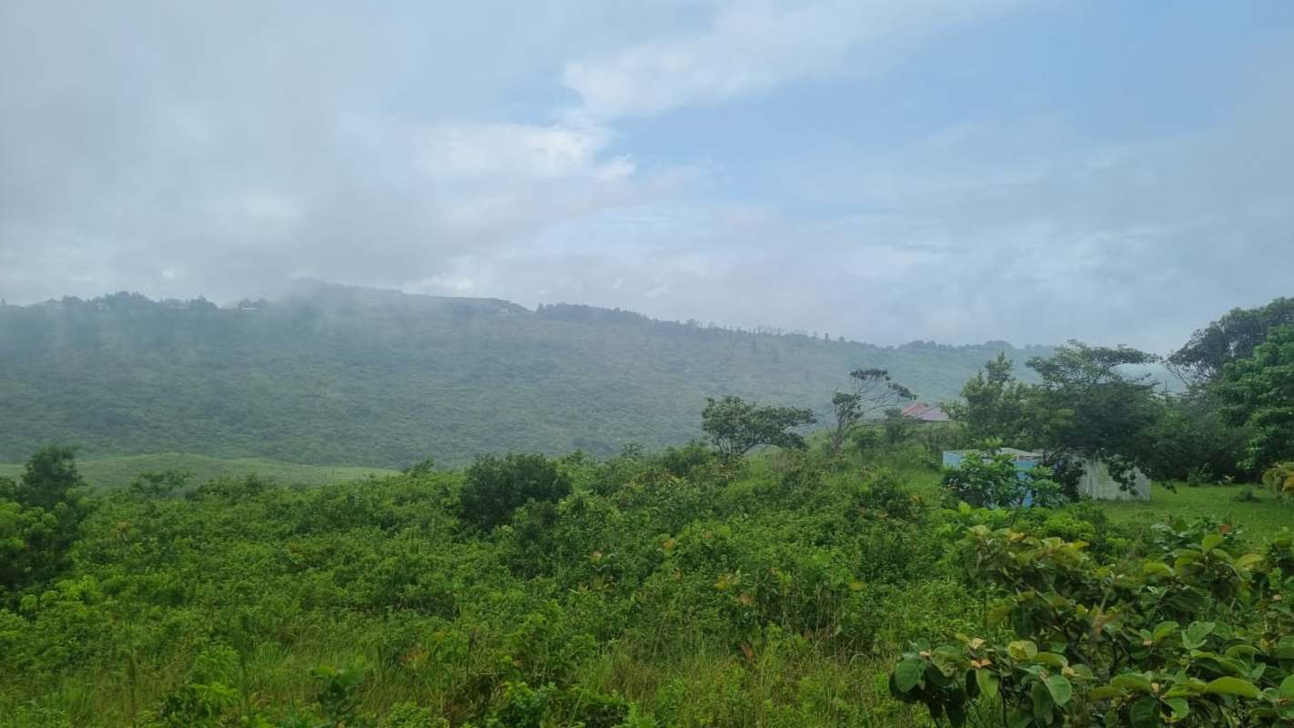 Mountain terrain with greenery vegetation mist La Laguna San Carlos