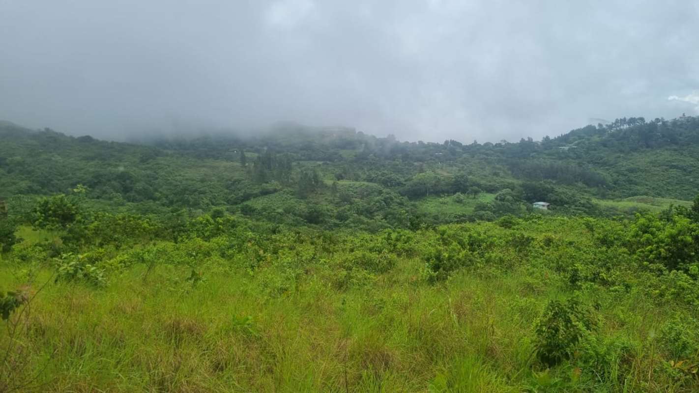 Lush green landscape with rolling hills thick vegetation mountain views