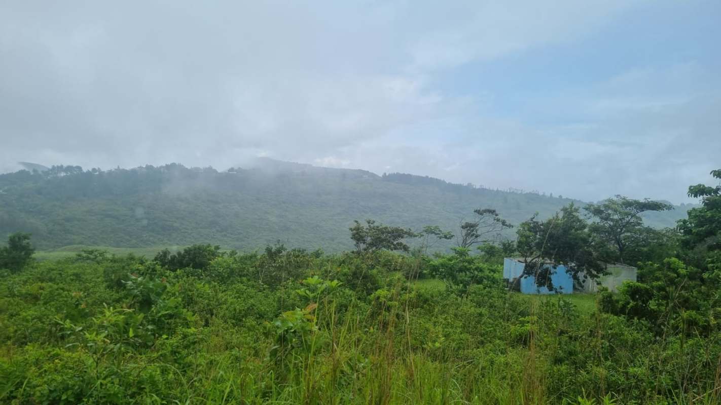 Entrance road with sign lush greenery wet road La Laguna San Carlos