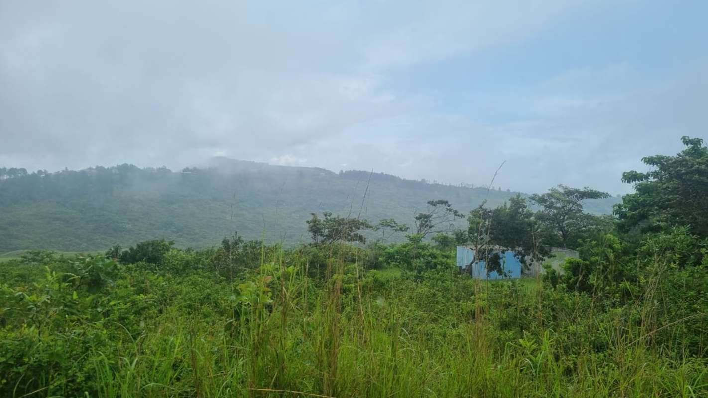 Lush forest mountain backdrop blue shed mist La Laguna Panama