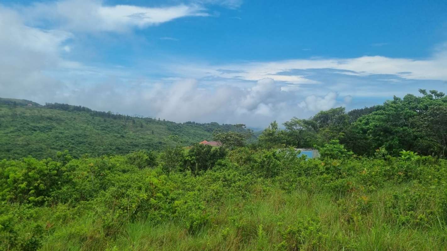 Rolling green hills forest vegetation countryside Panama land