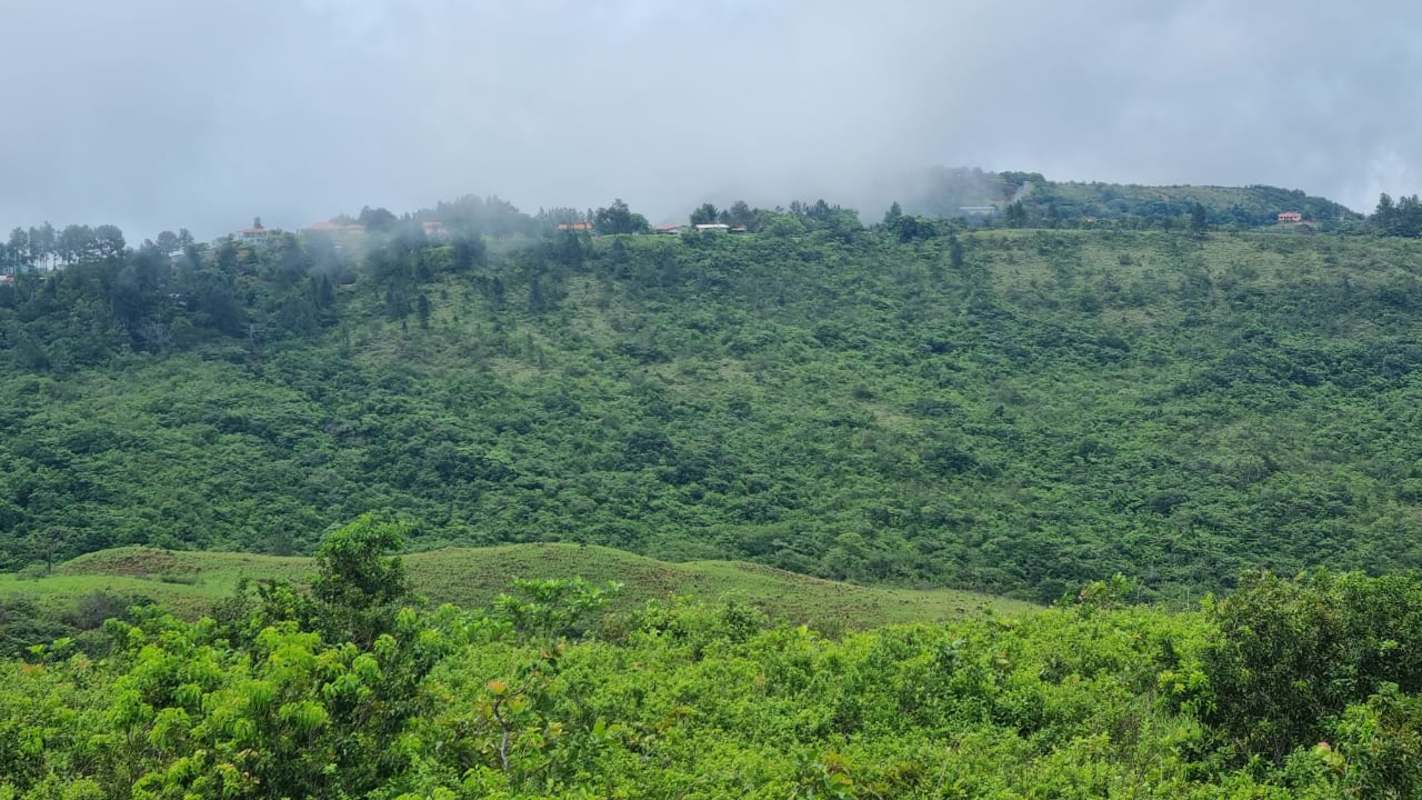 Lush green hilltop mist vegetation rural panorama Panama Oeste