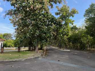 Internal paved roads lined by greenery at Hacienda Pacífica residential estate San Carlos