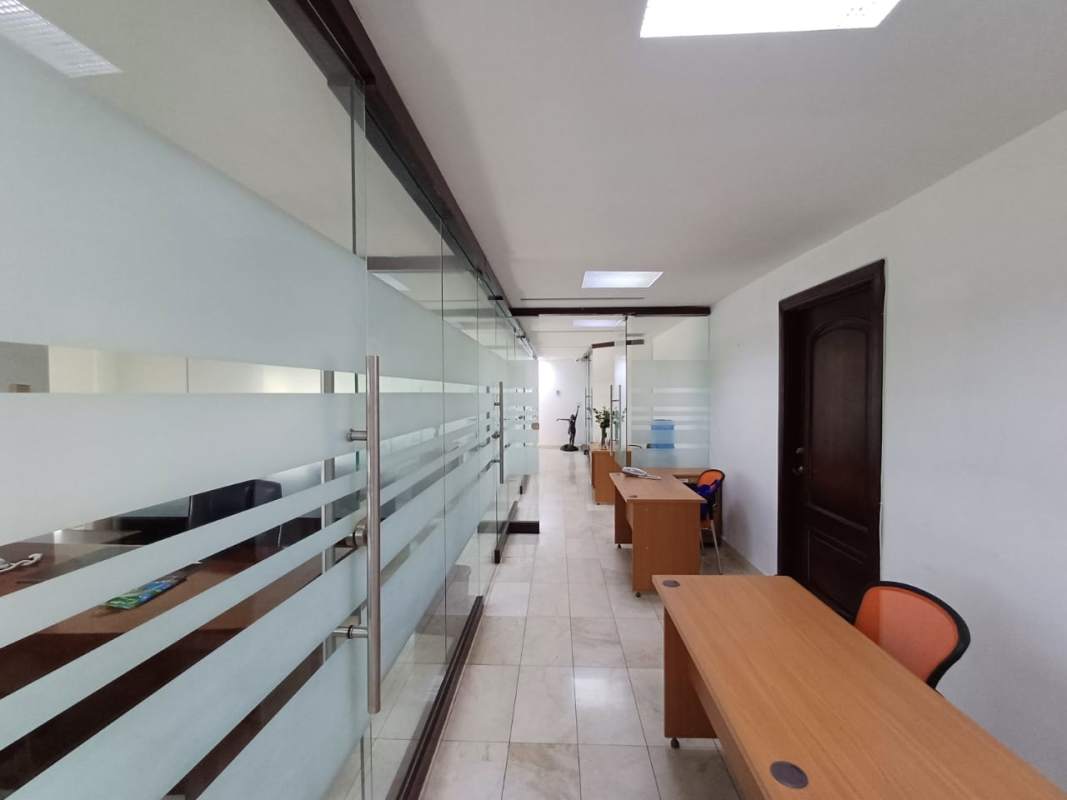 Corporate meeting space enclosed with glass partitions in Avenida Balboa office tower