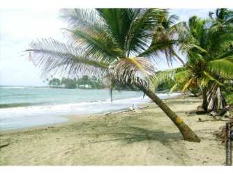Titled beachfront land in Costa Abajo Donoso with ocean views and coconut palms